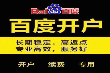 百度竞价广告投放案例对比